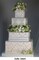 Martha Stewart's Five Tier Damask Cake Stencil Set | C406 by Designer Stencils | Cake Decorating Tools | Baking Stencils for Royal Icing, Airbrush, Dusting Powder | Reusable Plastic Food Grade Stencil for Cakes | Easy to Use & Clean Cake Stencil